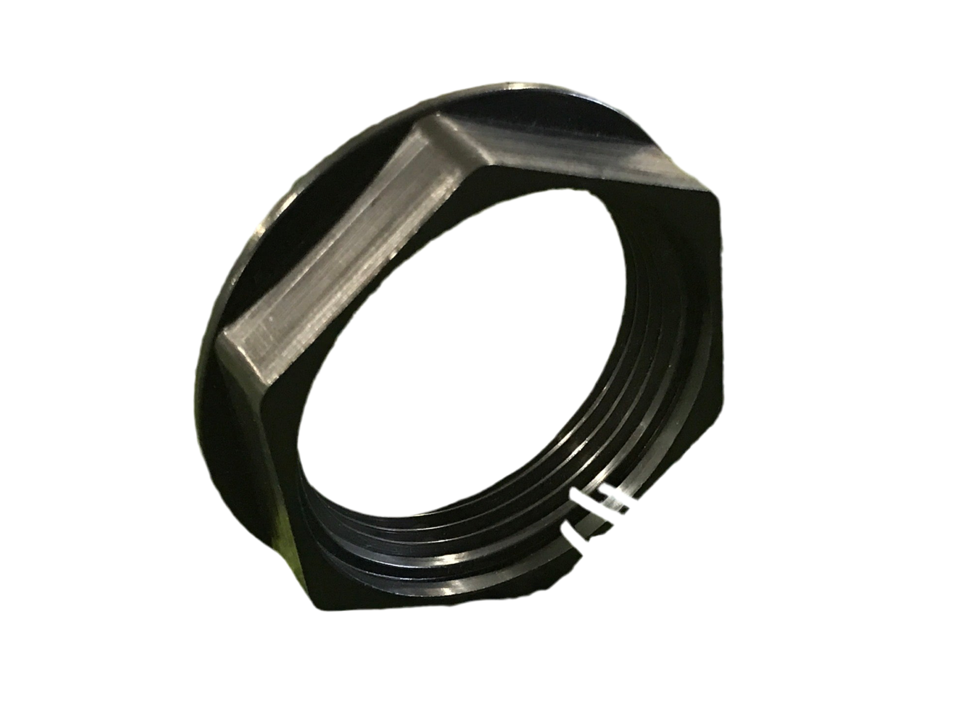 Hosetail Nut