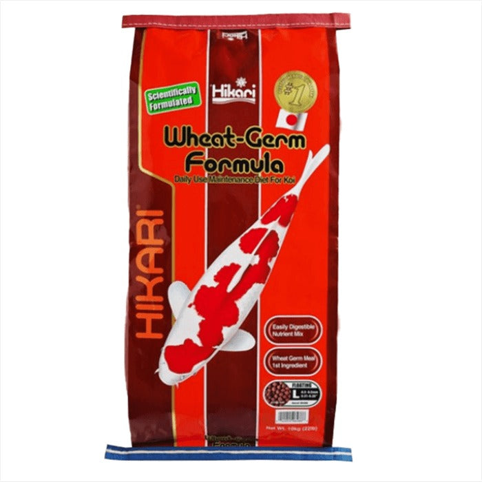 Hikari Wheat Germ Formula Floating