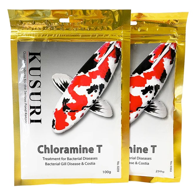 Kusuri Chloramine T Treatment