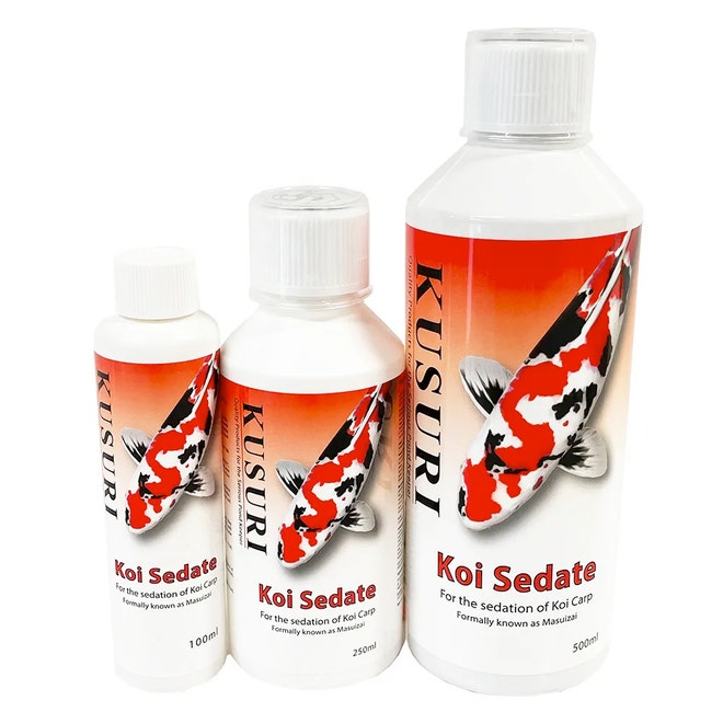 Kusuri Koi Sedate