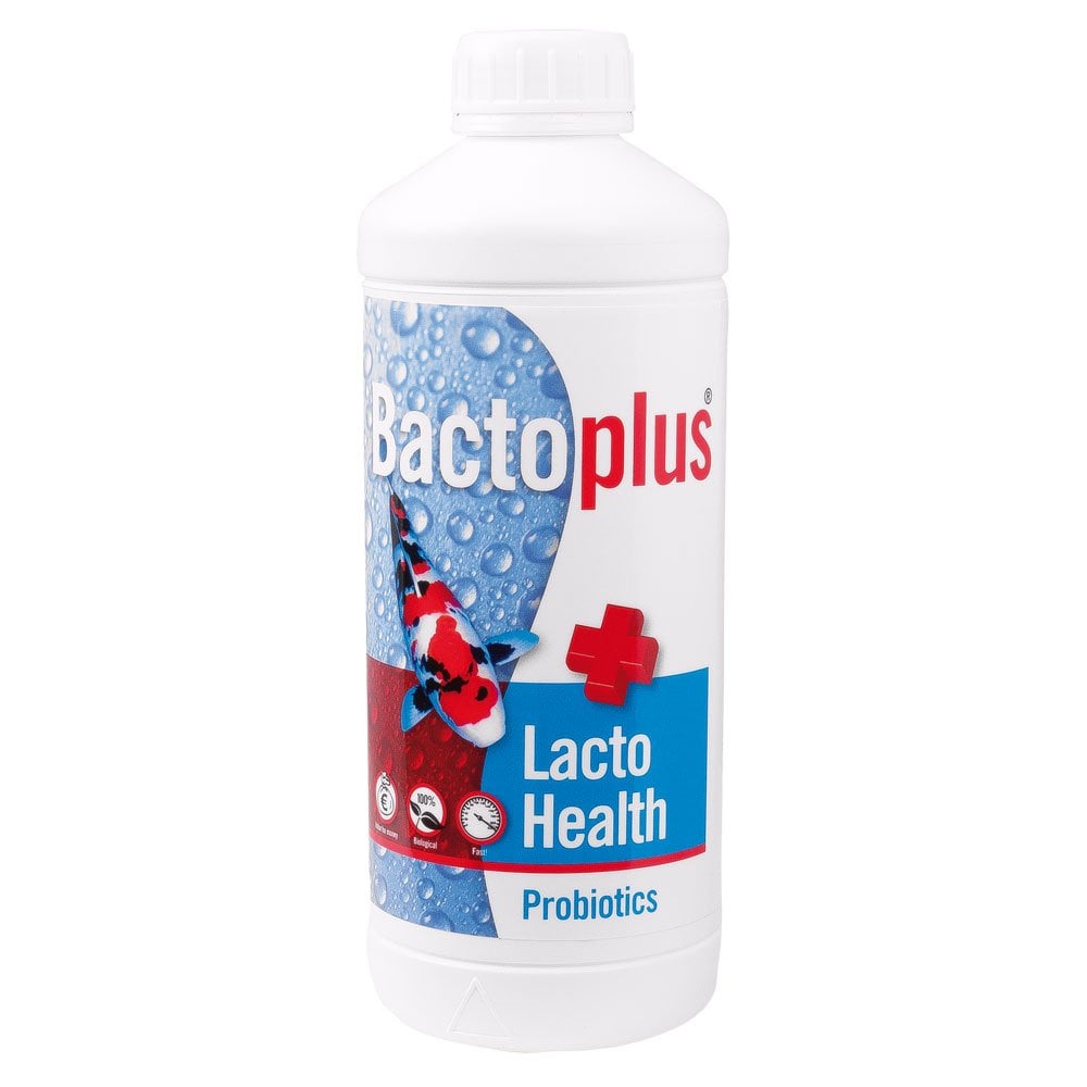 Bactoplus Lacto Health Probiotics