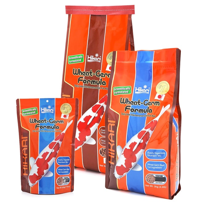 Hikari Wheat Germ Formula