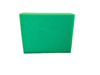 Biotec Replacement Foam