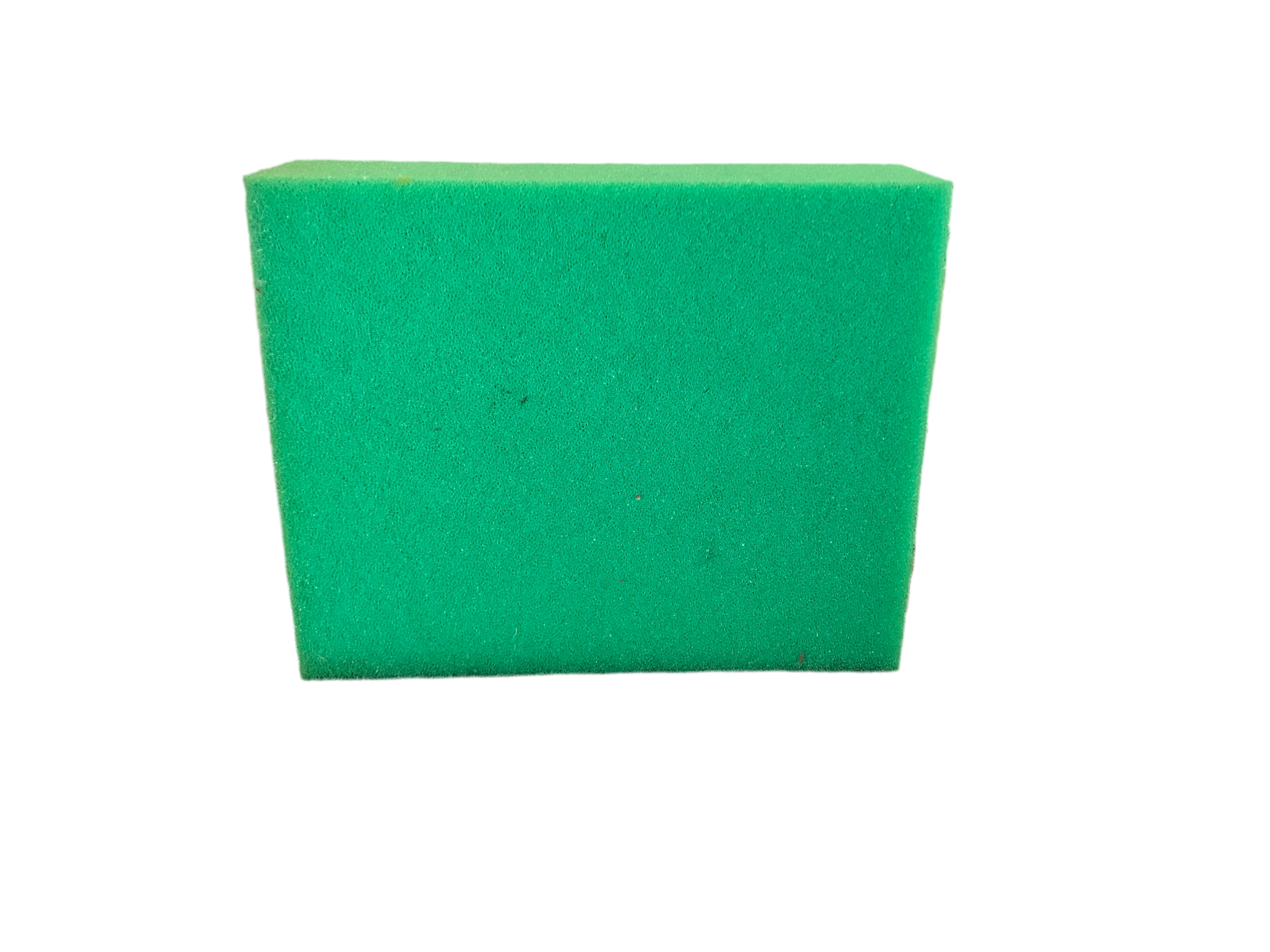 Biotec Replacement Foam