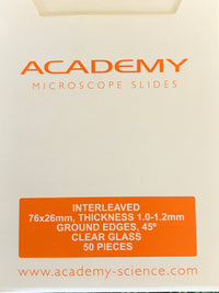 Academy slides