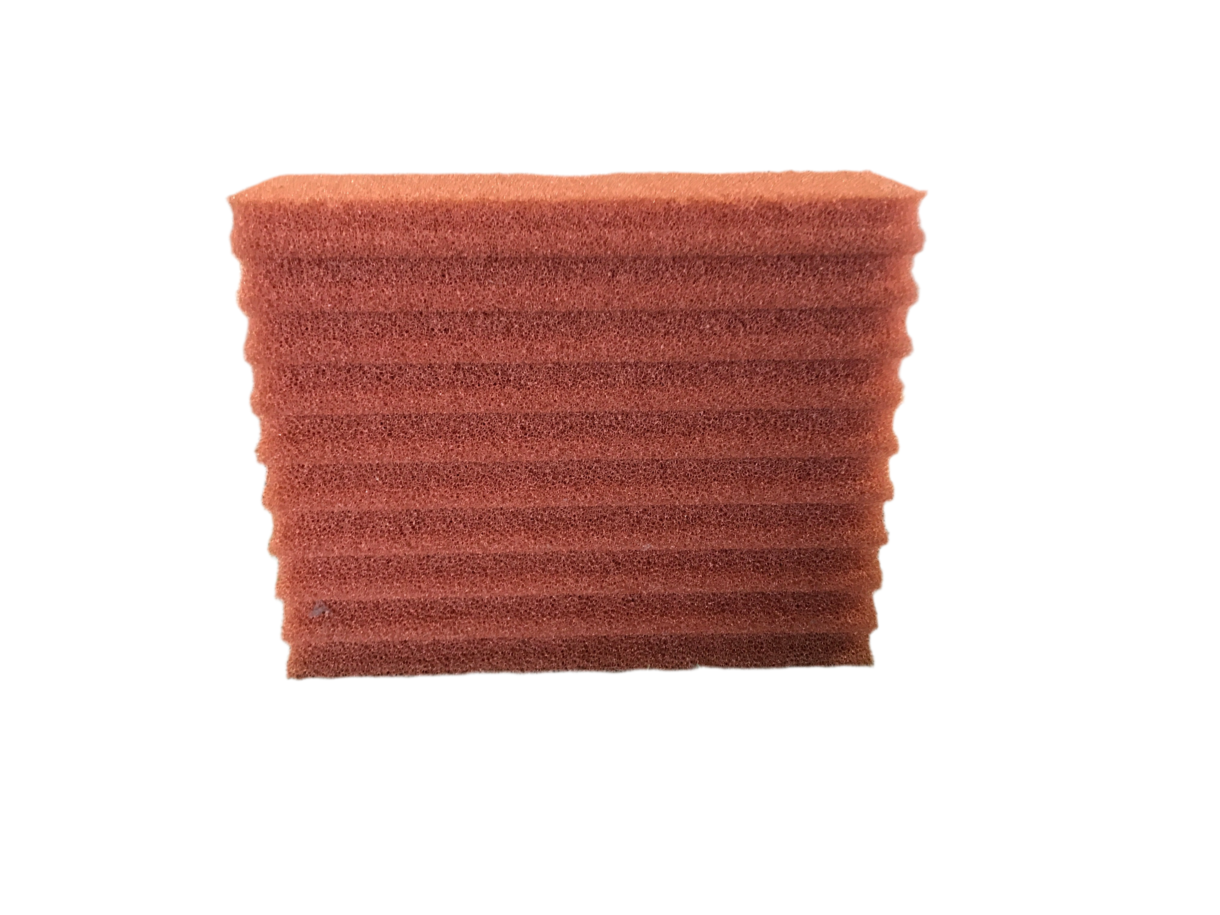 Biotec Replacement Foam