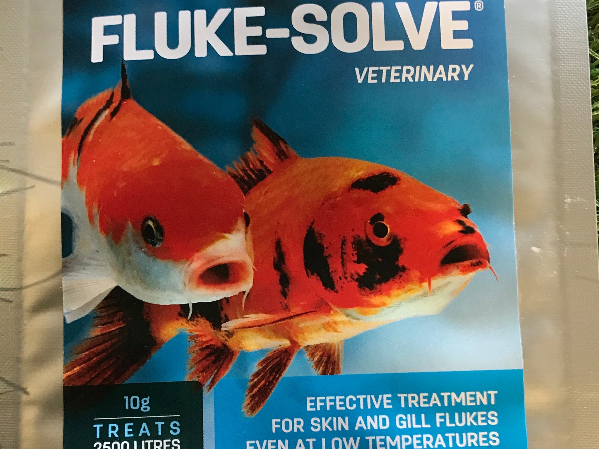 Fluke Solve