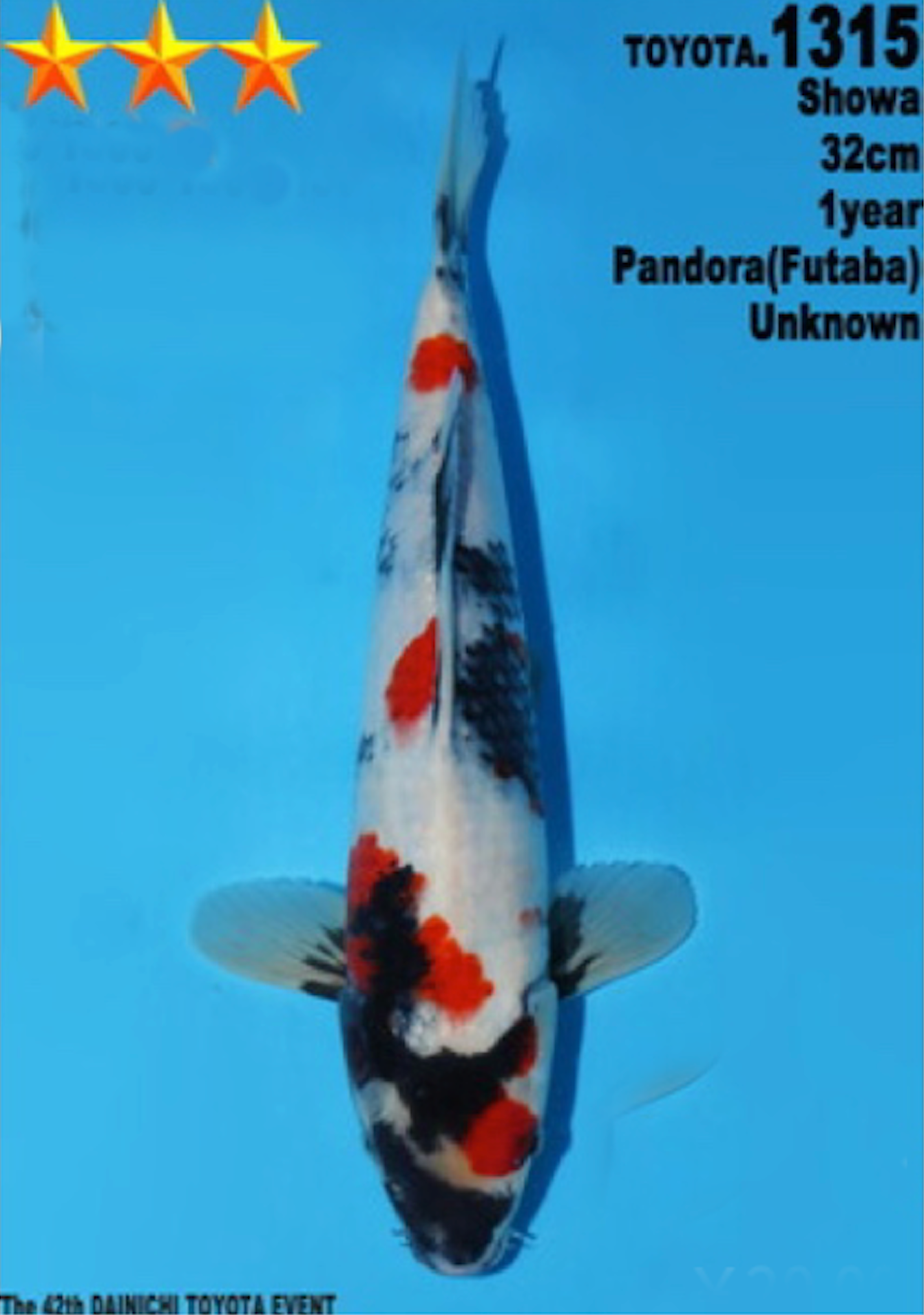 [#1315P25] Dainichi Tosai Showa [32cm]