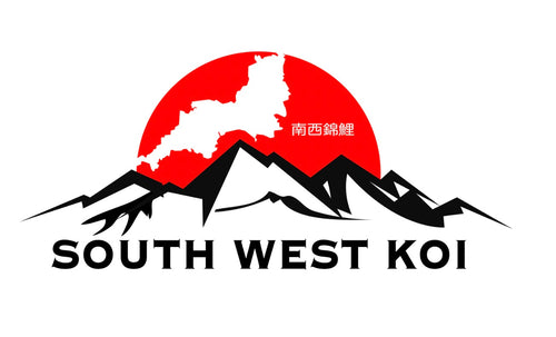 Southwest Koi